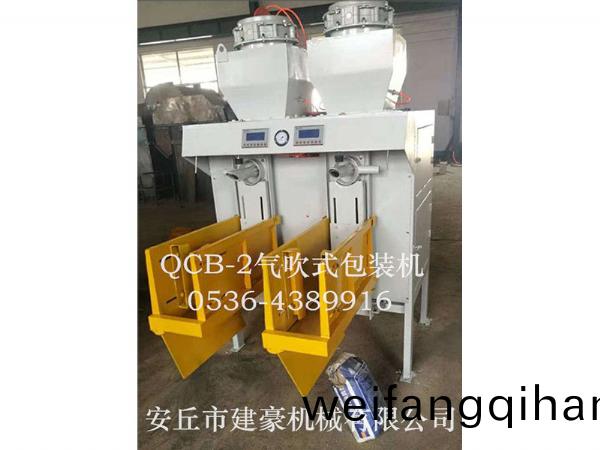 氣吹(chui)式自動掉(diao)袋包裝(zhuang)機